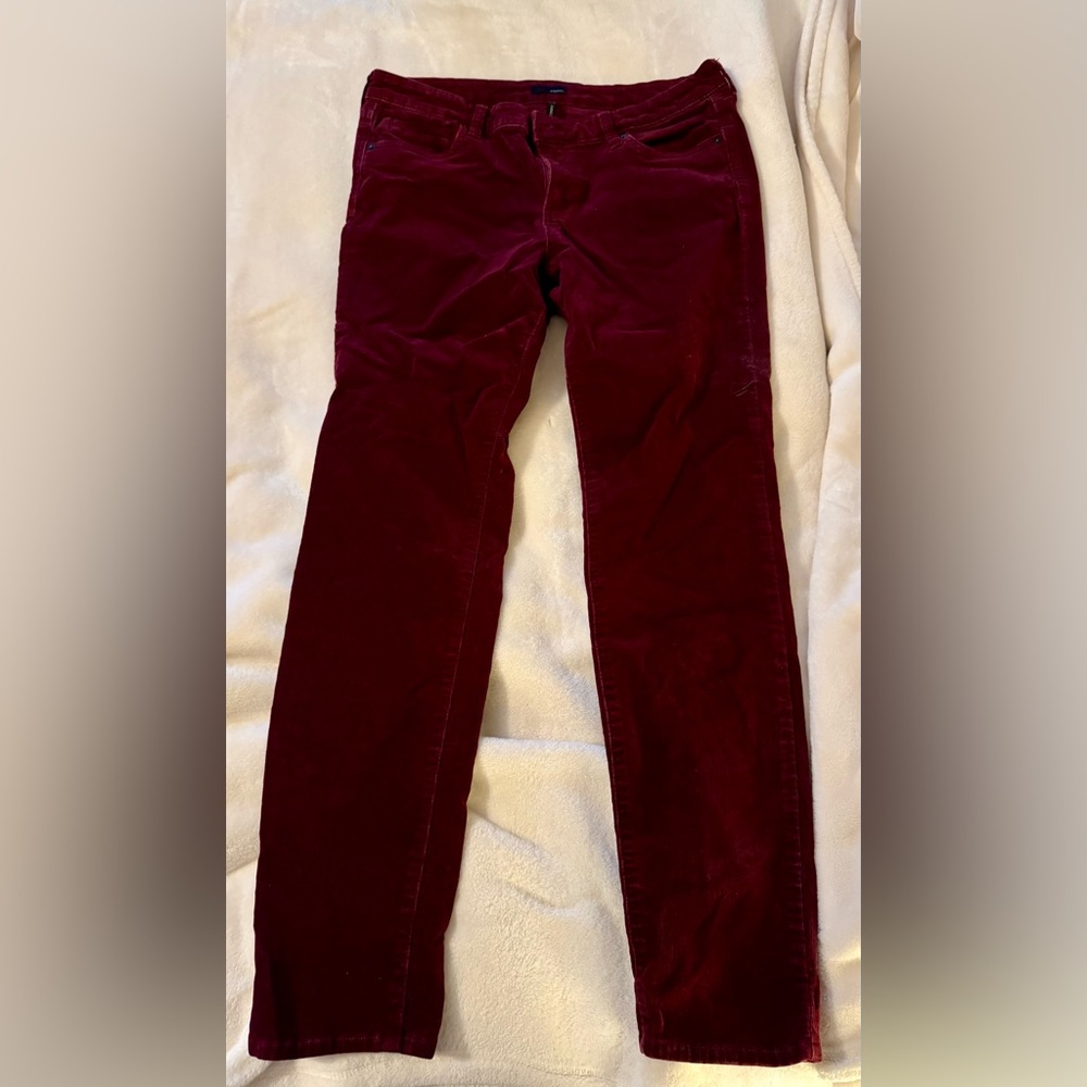 Edyson Burgundy Corduroy Pants